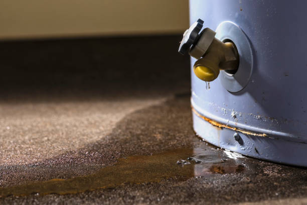 Best Basement water damage restoration  in Pecos, TX