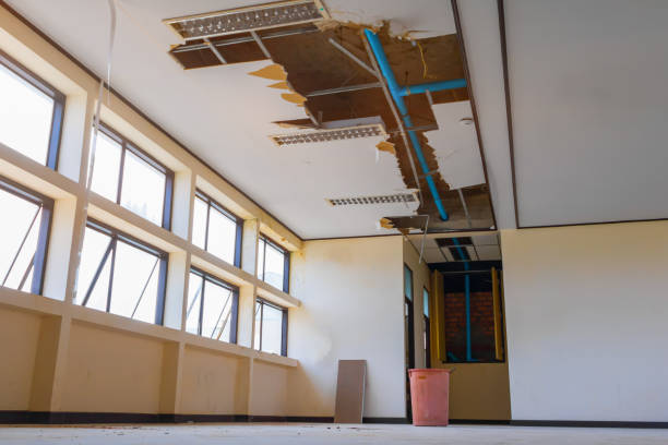 Best Flooded house restoration  in Pecos, TX
