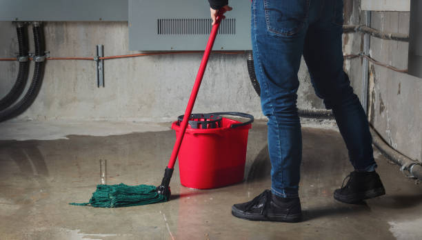 Best Carpet water damage restoration  in Pecos, TX