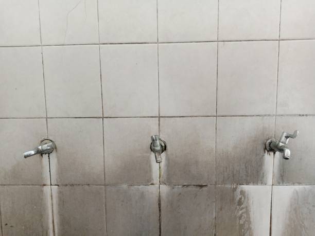 Best Water damage restoration near me  in Pecos, TX