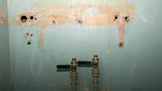 Best Flood restoration services  in Pecos, TX