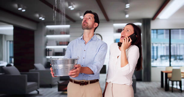 Best Flood restoration services  in Pecos, TX