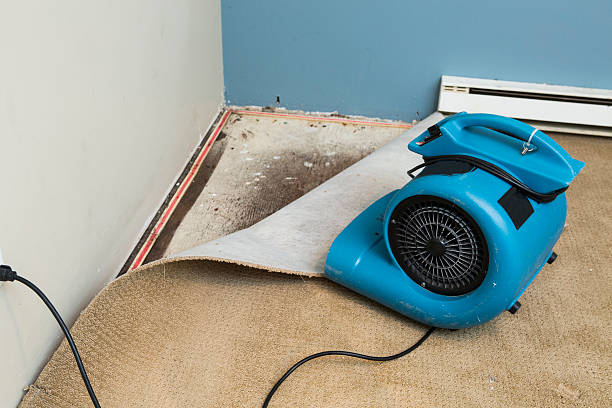 Best Commercial water damage restoration  in Pecos, TX
